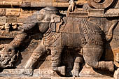 The great Chola temples of Tamil Nadu - The Airavatesvara temple of Darasuram. Detail of the balustrades decorated with elephants of the porch extension of the mandapa. 